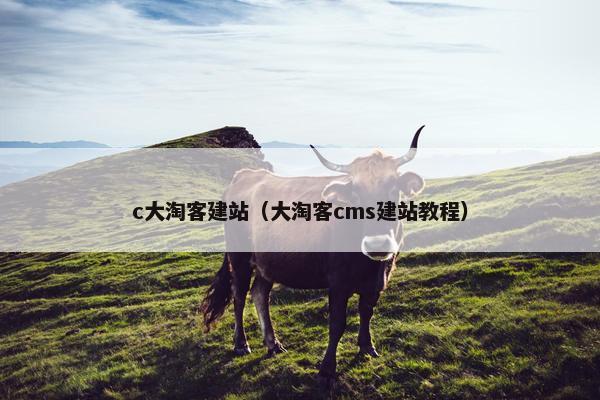 c大淘客建站（大淘客cms建站教程）