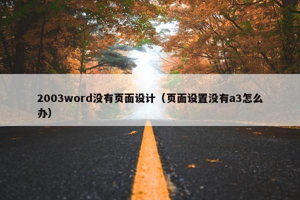 2003word没有页面设计（页面设置没有a3怎么办）