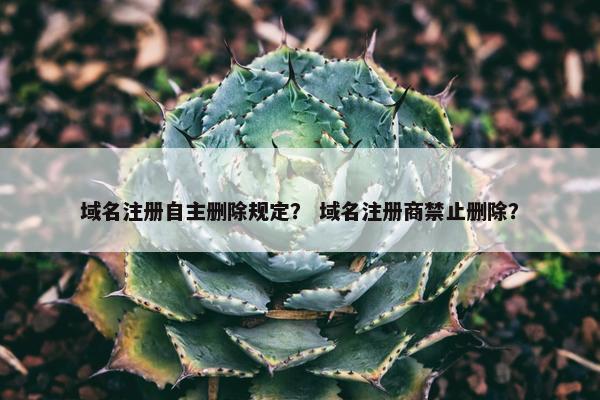 域名注册自主删除规定？ 域名注册商禁止删除？
