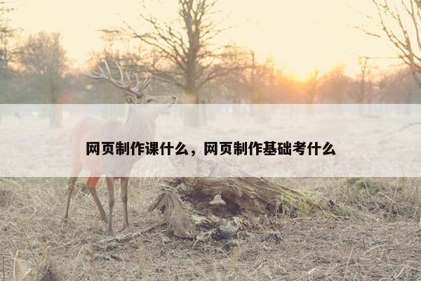 网页制作课什么，网页制作基础考什么