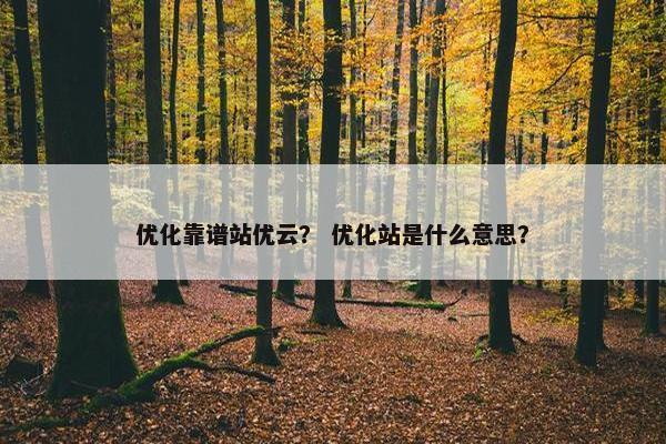 优化靠谱站优云？ 优化站是什么意思？