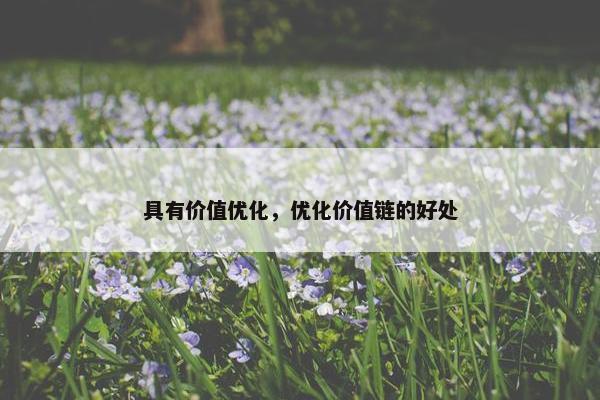 具有价值优化，优化价值链的好处