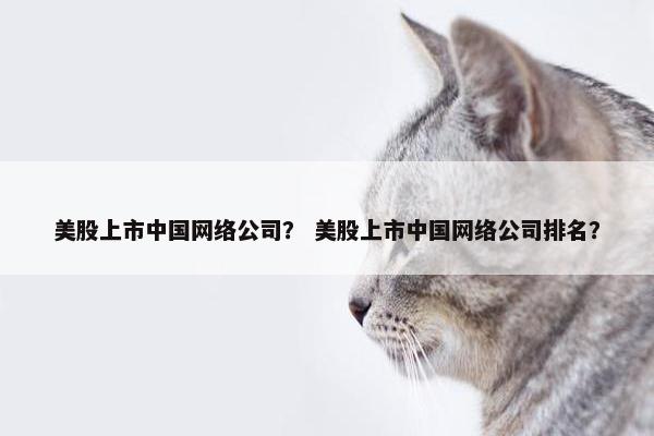 美股上市中国网络公司？ 美股上市中国网络公司排名？