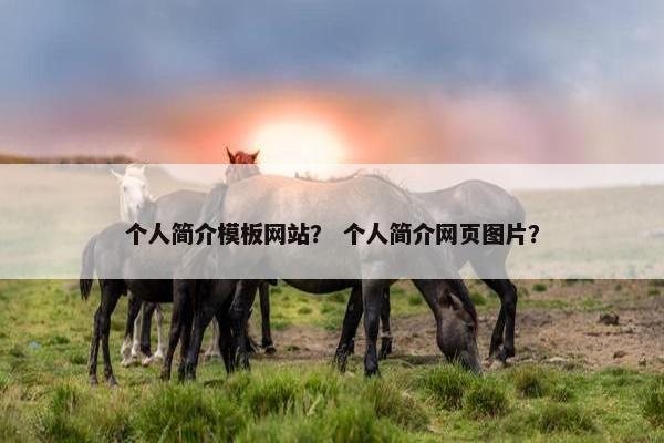 个人简介模板网站？ 个人简介网页图片？