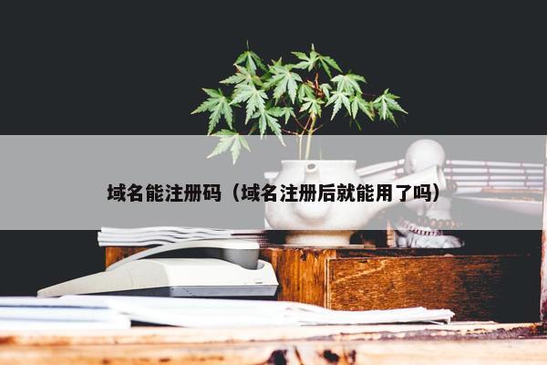 域名能注册码（域名注册后就能用了吗）