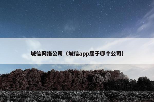 城信网络公司（城信app属于哪个公司）