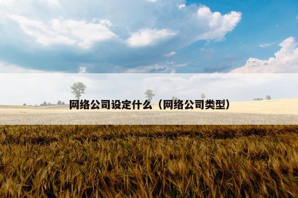 网络公司设定什么（网络公司类型）
