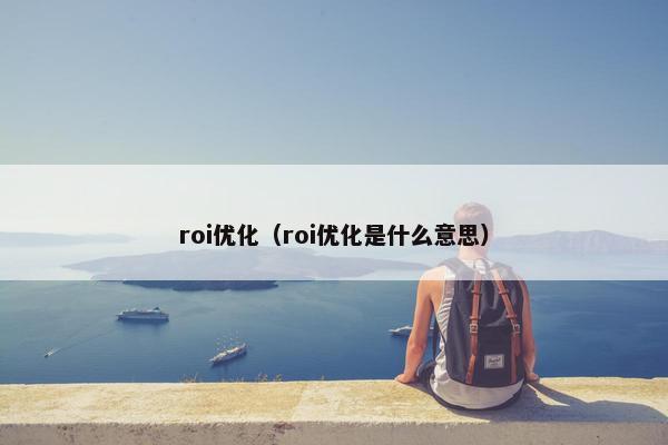 roi优化（roi优化是什么意思）