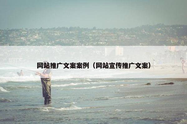 网站推广文案案例（网站宣传推广文案）