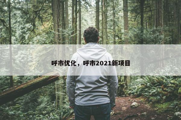 呼市优化，呼市2021新项目