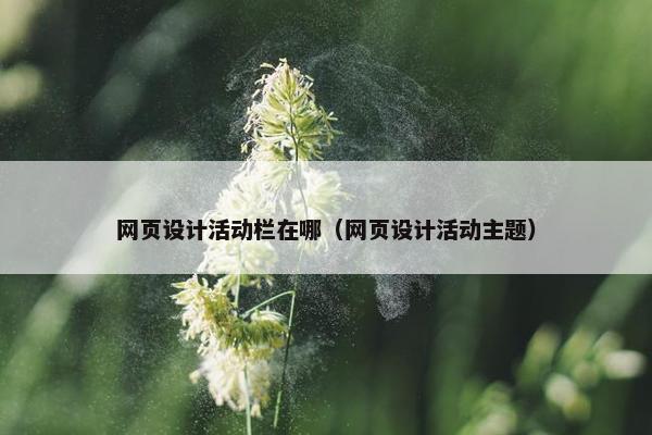 网页设计活动栏在哪（网页设计活动主题）
