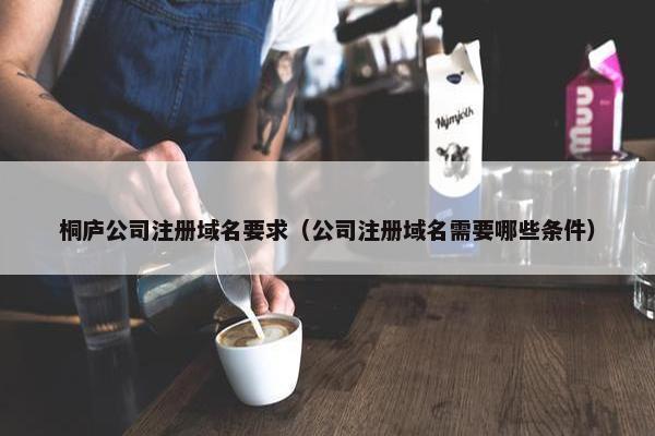 桐庐公司注册域名要求（公司注册域名需要哪些条件）