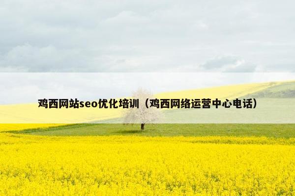 鸡西网站seo优化培训（鸡西网络运营中心电话）