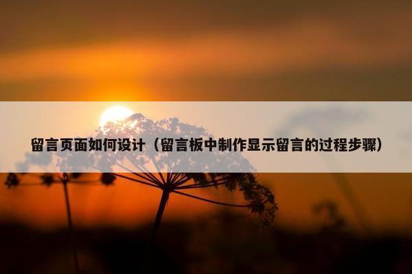 留言页面如何设计（留言板中制作显示留言的过程步骤）