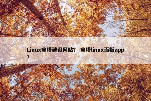 Linux宝塔建设网站？ 宝塔linux面板app？