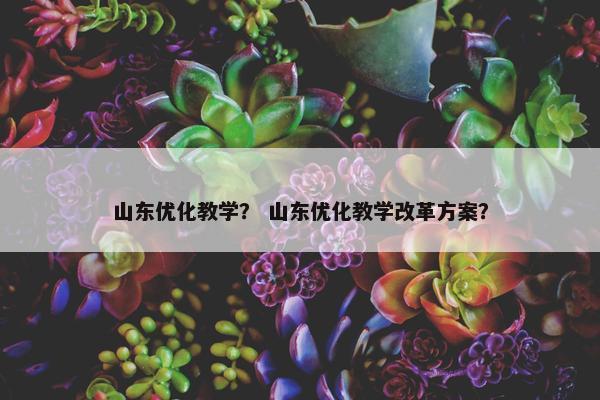 山东优化教学？ 山东优化教学改革方案？