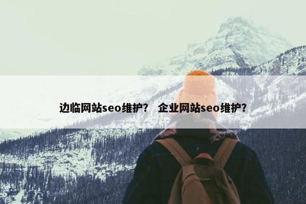 边临网站seo维护？ 企业网站seo维护？