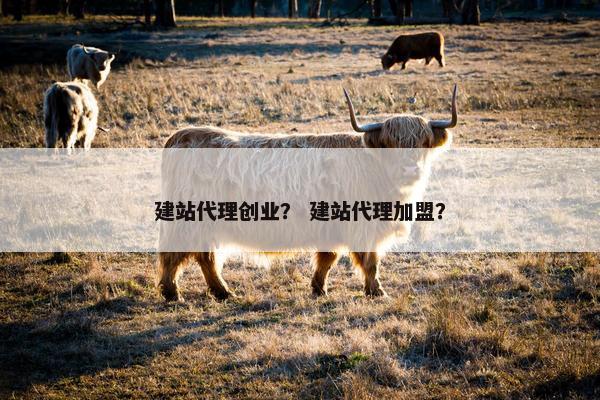 建站代理创业？ 建站代理加盟？