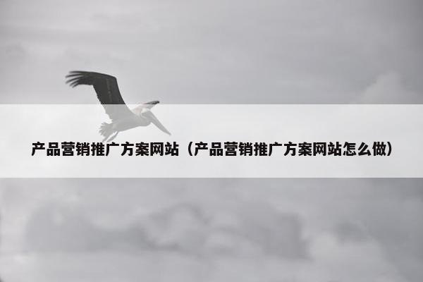 产品营销推广方案网站（产品营销推广方案网站怎么做）