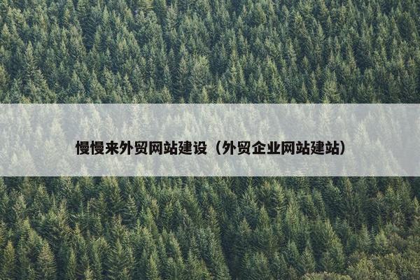 慢慢来外贸网站建设（外贸企业网站建站）