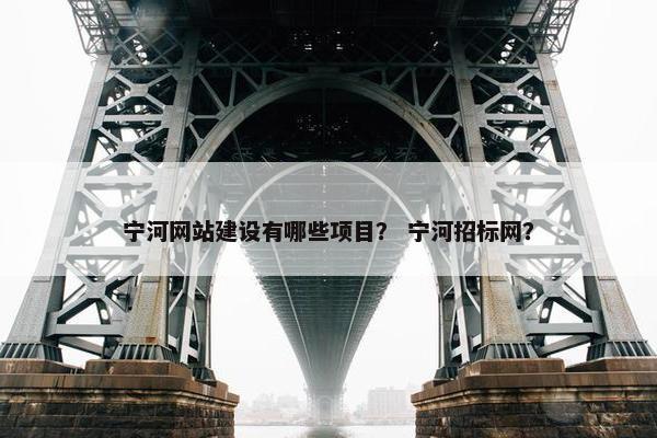 宁河网站建设有哪些项目？ 宁河招标网？