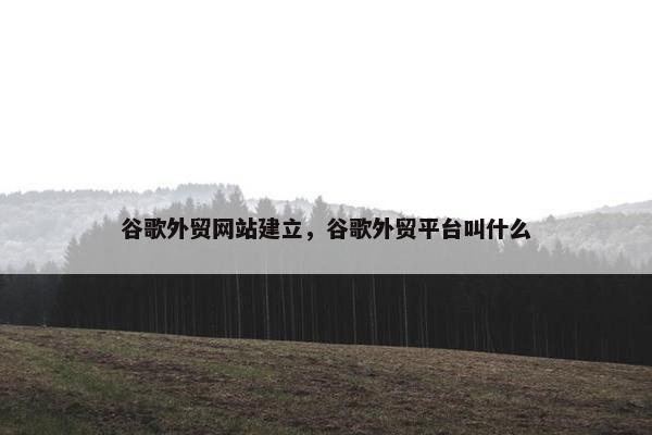 谷歌外贸网站建立，谷歌外贸平台叫什么