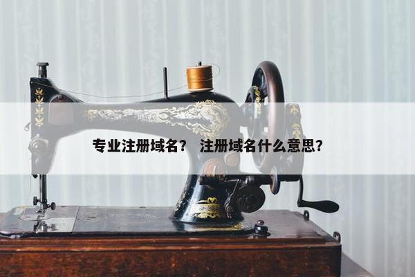 专业注册域名？ 注册域名什么意思？