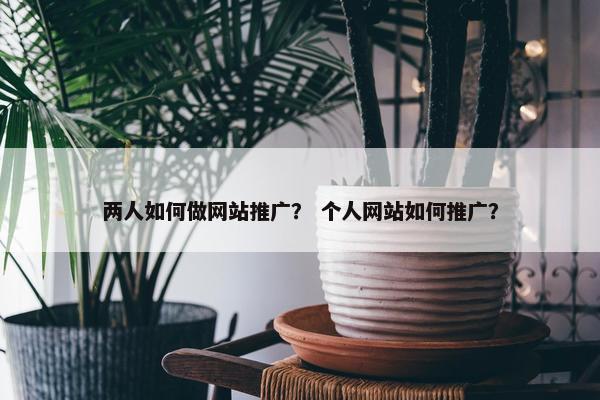 两人如何做网站推广？ 个人网站如何推广？