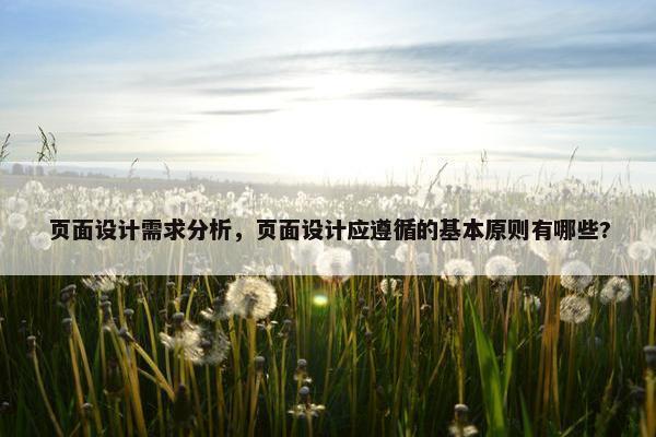 页面设计需求分析，页面设计应遵循的基本原则有哪些?