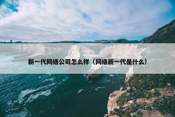 新一代网络公司怎么样（网络新一代是什么）