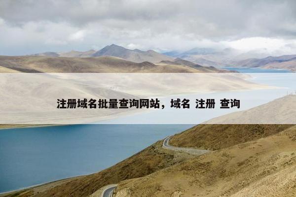 注册域名批量查询网站，域名 注册 查询