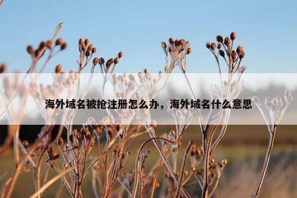 海外域名被抢注册怎么办，海外域名什么意思