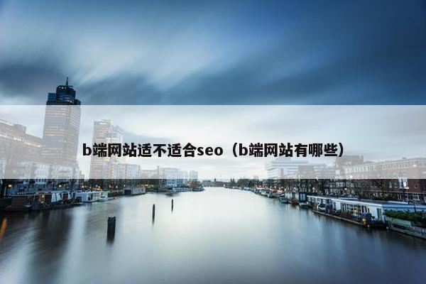 b端网站适不适合seo（b端网站有哪些）