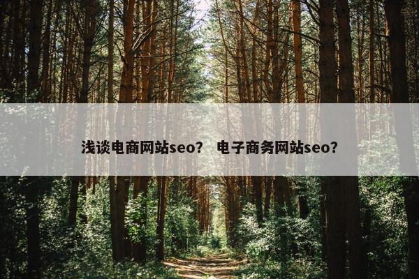 浅谈电商网站seo？ 电子商务网站seo？