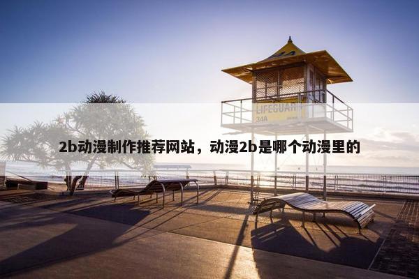 2b动漫制作推荐网站，动漫2b是哪个动漫里的