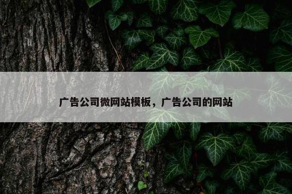 广告公司微网站模板，广告公司的网站