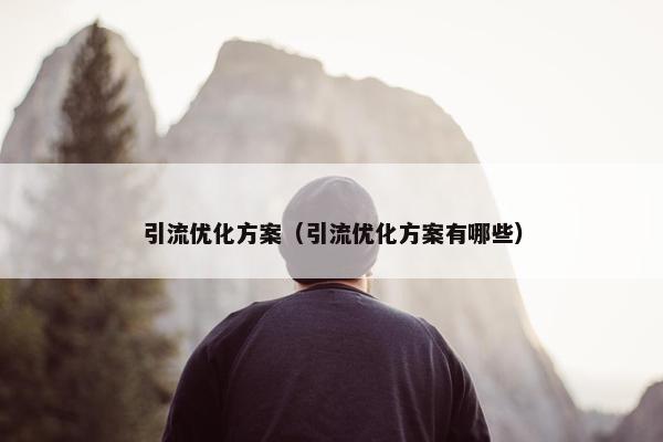 引流优化方案（引流优化方案有哪些）