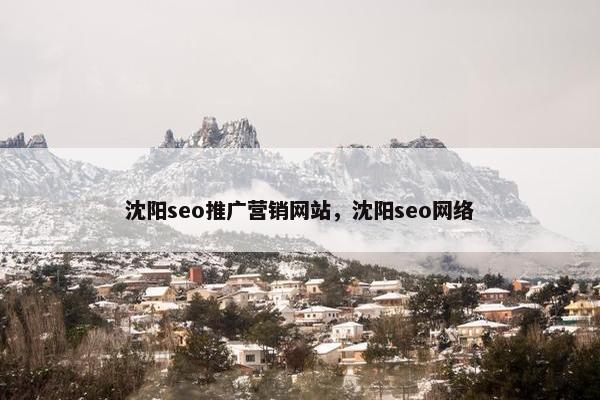 沈阳seo推广营销网站，沈阳seo网络