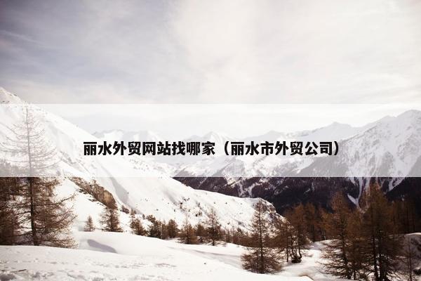 丽水外贸网站找哪家（丽水市外贸公司）