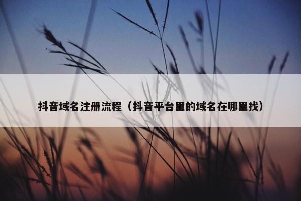 抖音域名注册流程（抖音平台里的域名在哪里找）