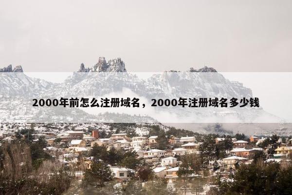 2000年前怎么注册域名，2000年注册域名多少钱