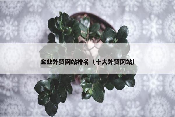 企业外贸网站排名（十大外贸网站）