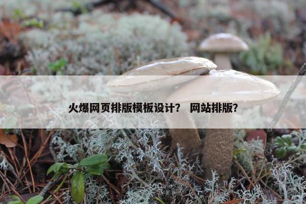 火爆网页排版模板设计？ 网站排版？