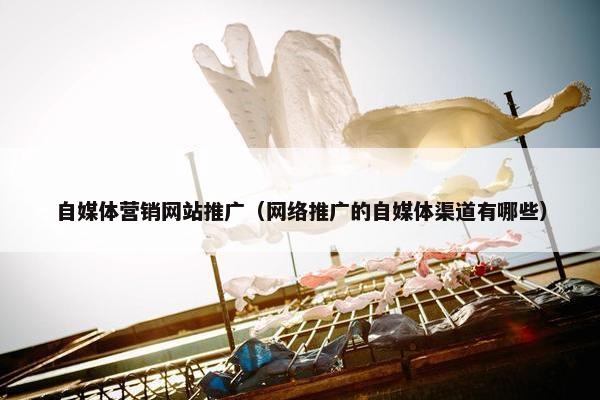 自媒体营销网站推广（网络推广的自媒体渠道有哪些）