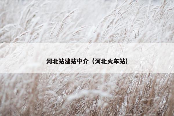 河北站建站中介（河北火车站）