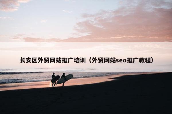 长安区外贸网站推广培训（外贸网站seo推广教程）
