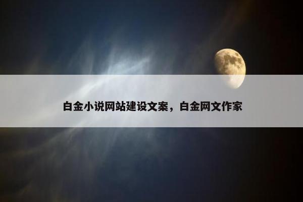 白金小说网站建设文案，白金网文作家