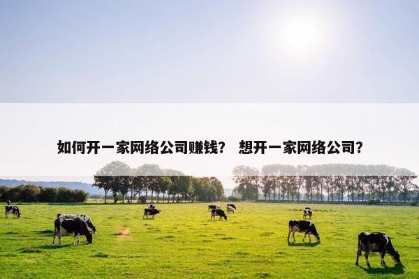 如何开一家网络公司赚钱？ 想开一家网络公司？
