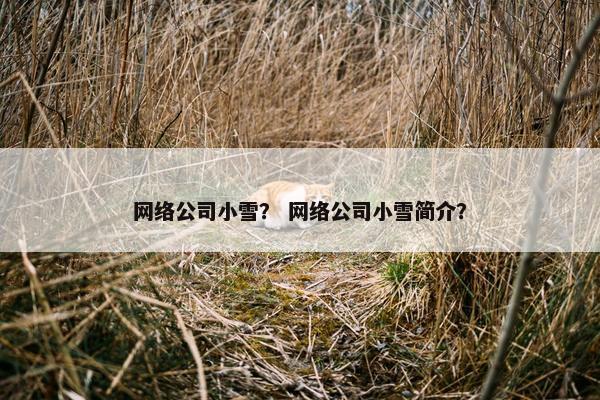 网络公司小雪？ 网络公司小雪简介？