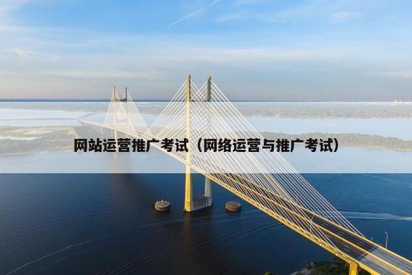 网站运营推广考试（网络运营与推广考试）
